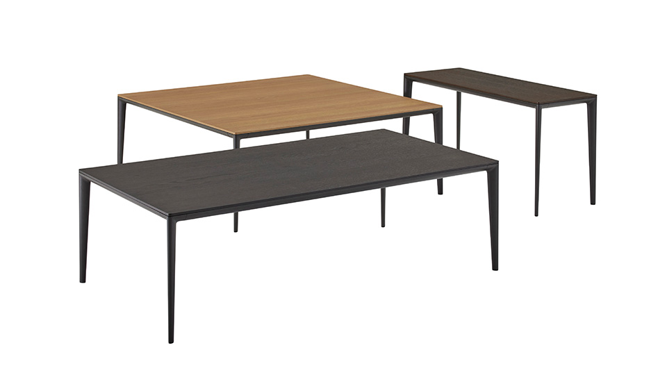 ERA (coffee table) PRODUCTS HOSHINA