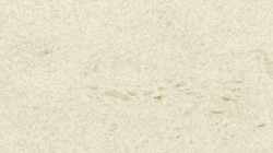 DEKTON® ダナエ(DAN)