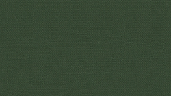DEW-T45