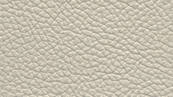 MZN-IV