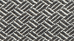 TSP-GY