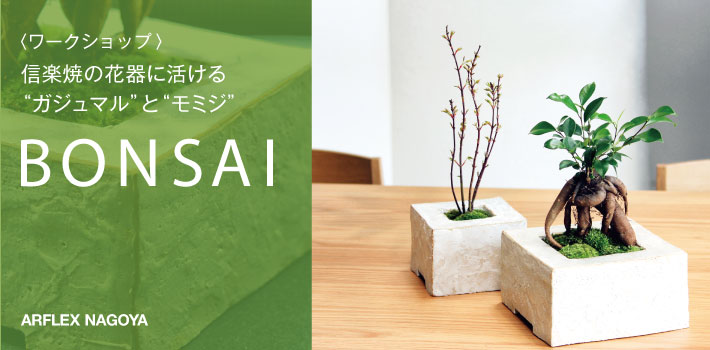 ワークショップ 信楽焼の花器に活ける ガジュマル と モミジ Bonsai Arflex アルフレックス ジャパン