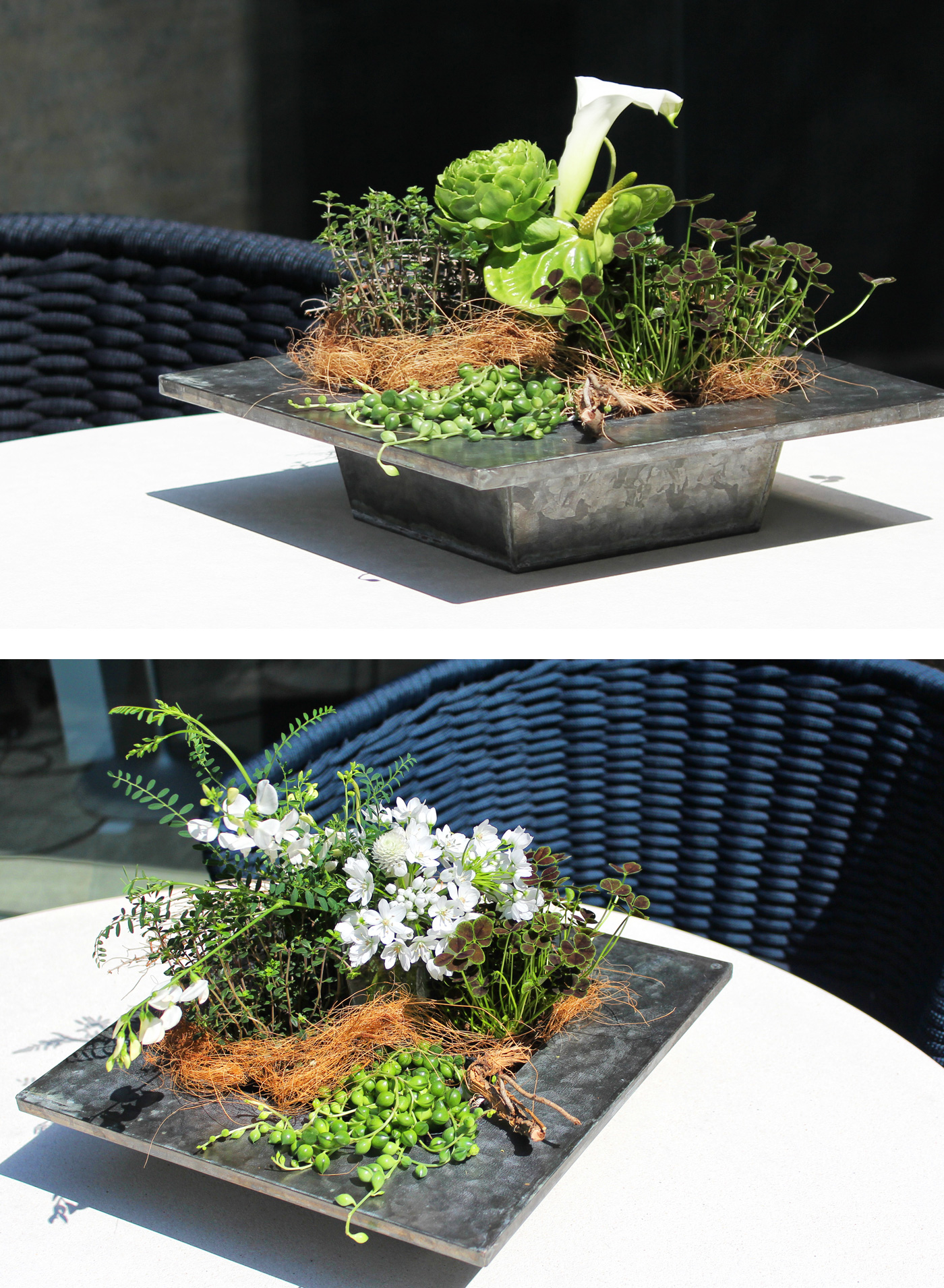 ワークショップ 季節の花と植物のミックスアレンジ テーブルグリーンづくり Arflex アルフレックス ジャパン