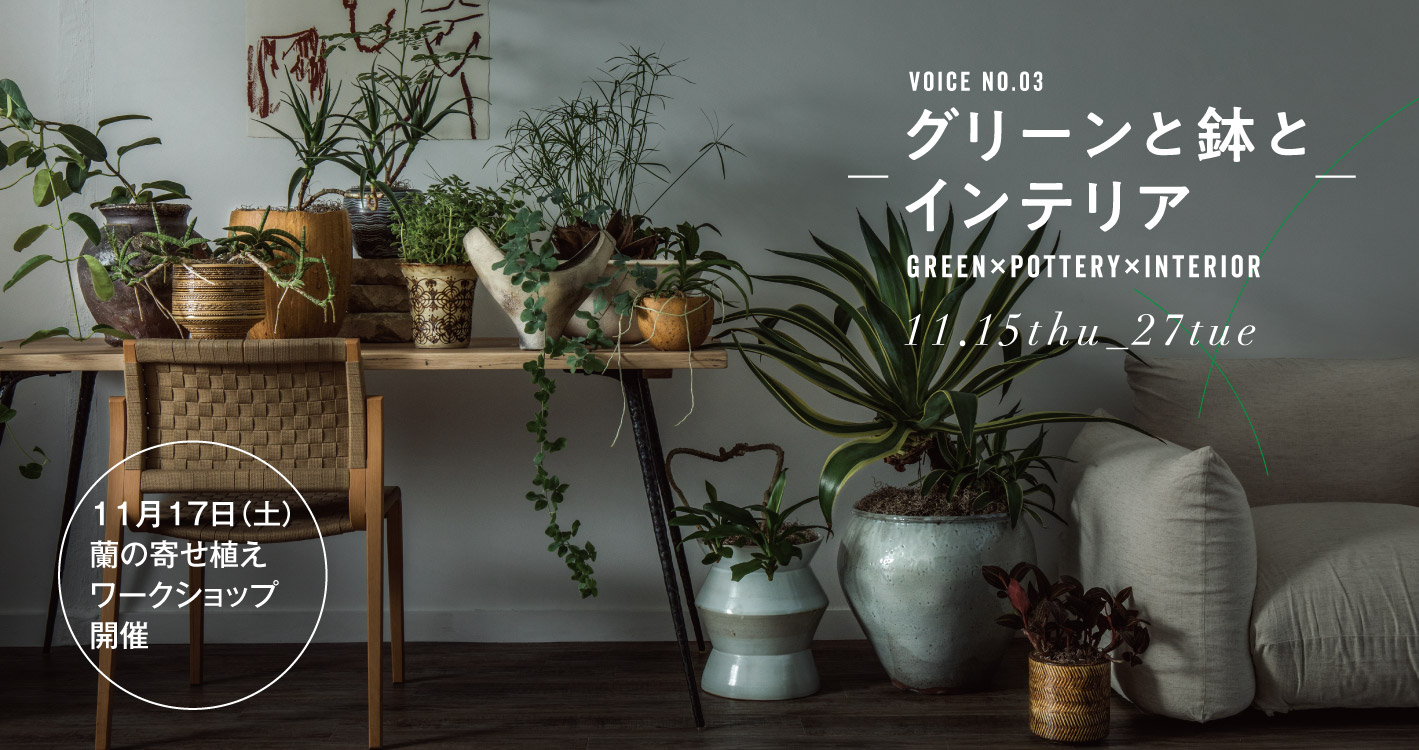 〈展示販売〉VOICE NO.03 グリーンと鉢とインテリア