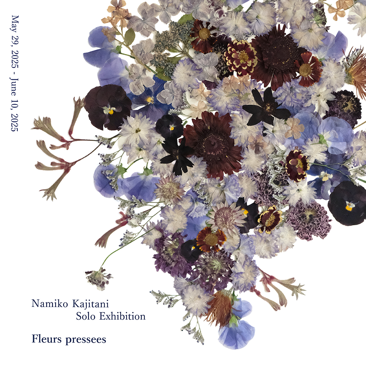 梶谷奈允子「Fleurs pressees」